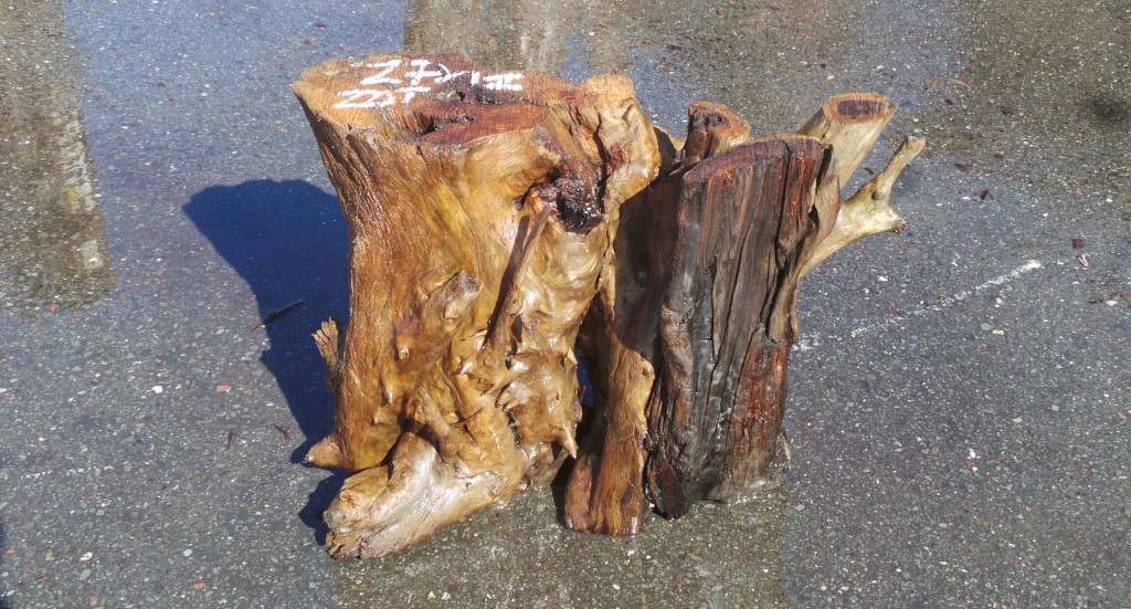 Rustic Bases - Ethically Sourced & Affordable Shipping | Redwood Burl Inc.