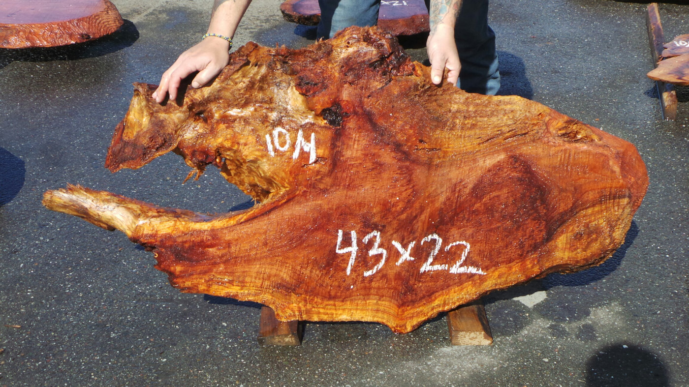 Redwood Burl Slabs Unique Redwood Pieces Redwood Burl Inc