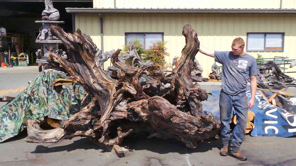 Wood Yard Art Ideas - Rustic Garden Roots Stumps Raw Wood