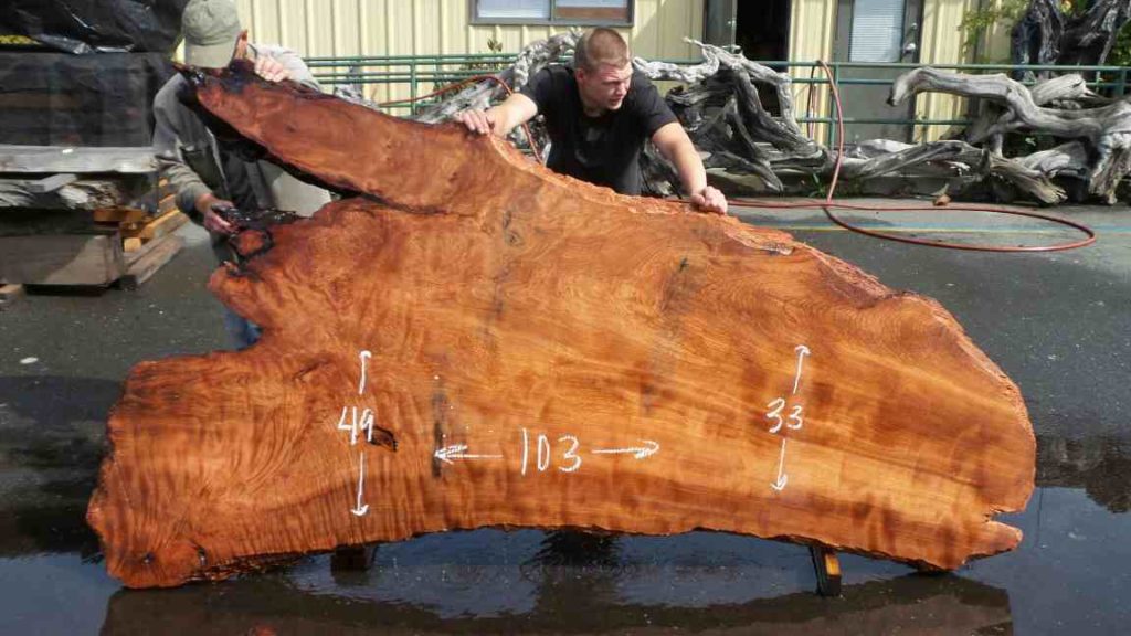 Redwood Burl Furniture | Redwood Burl Slabs | Redwood Burl Inc.