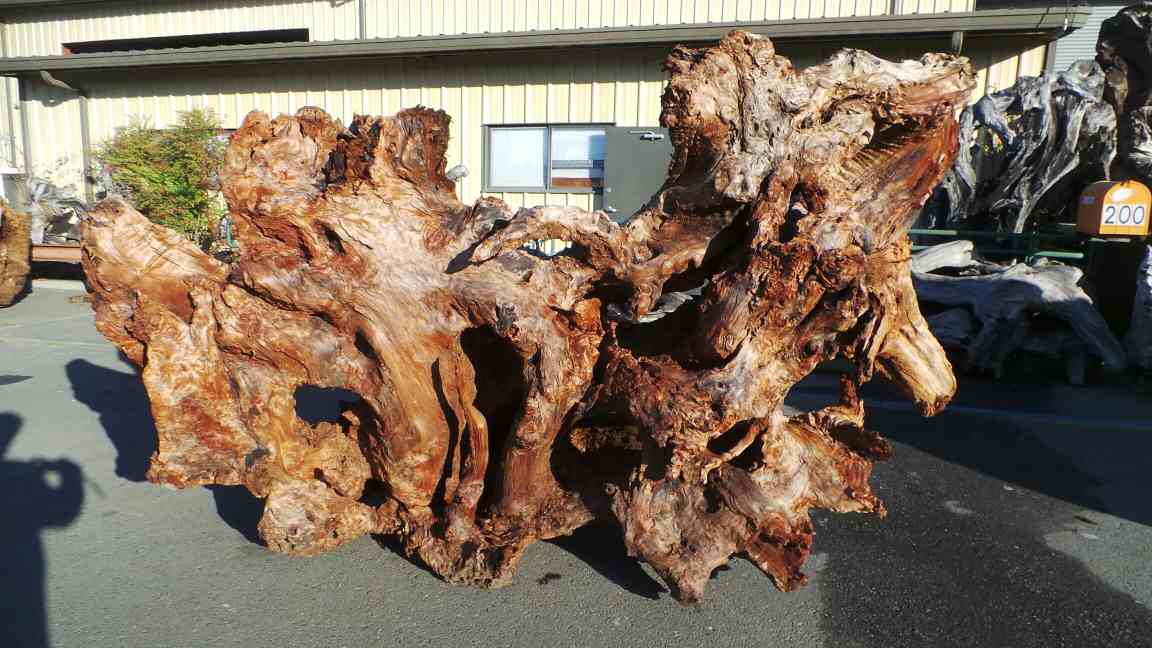 Redwood Landscaping Designs and Ideas - Tree Stump Decoration for Outdoor Yards, Gardens, Lawns