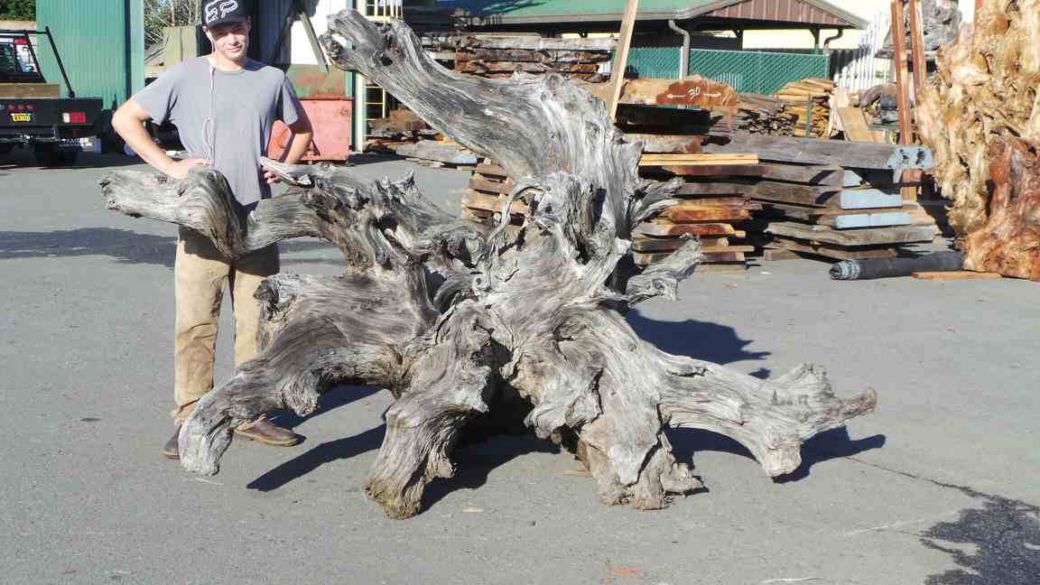 Raw Tree Landscaping - Dead Tree Stump Decor