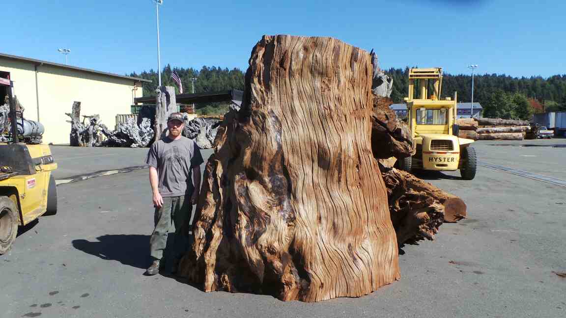 Large Redwood Stump for Large Wooden Sculpture