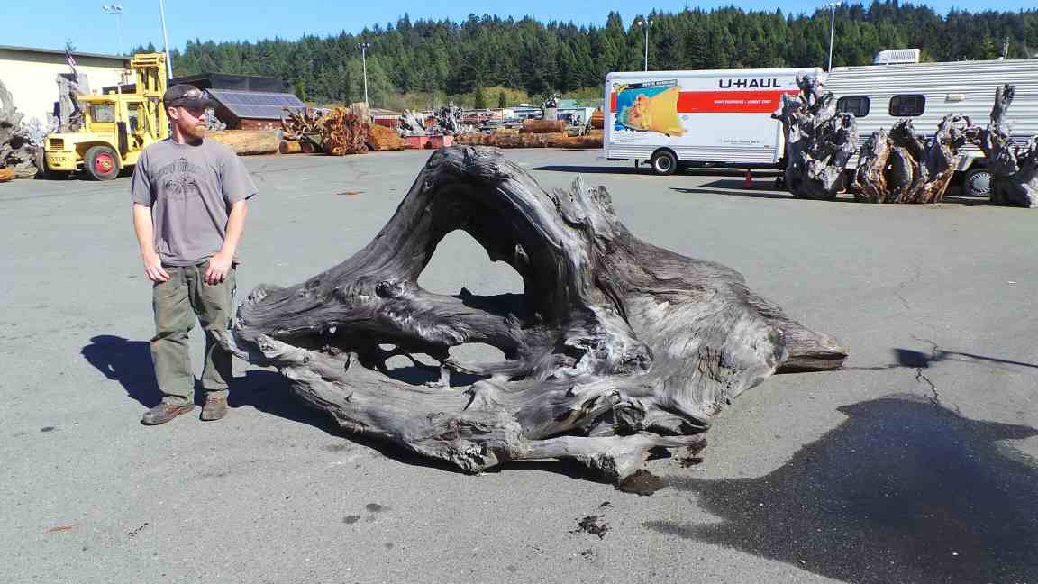 Redwood Large Decorative Driftwood Piece