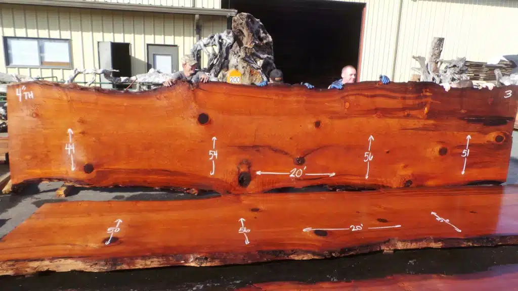 Large Old Growth Redwood Wood Slab Conference Table