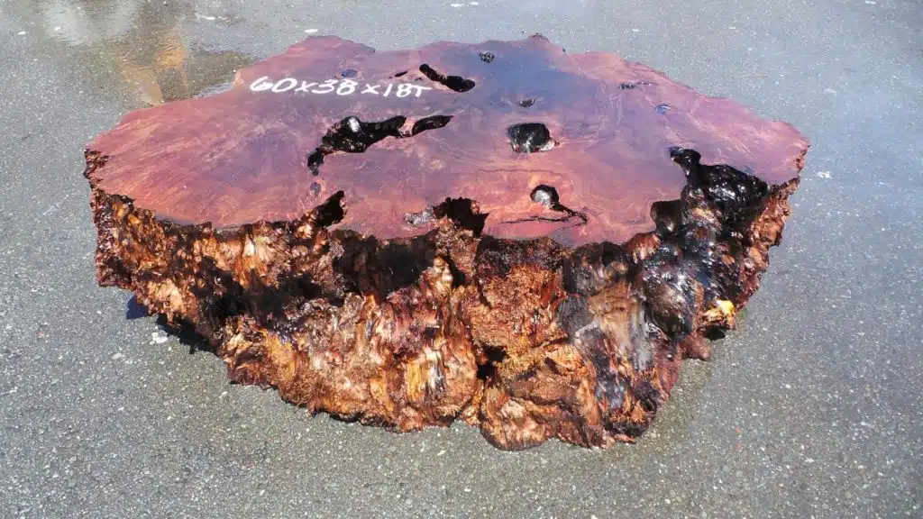 Burl wood base