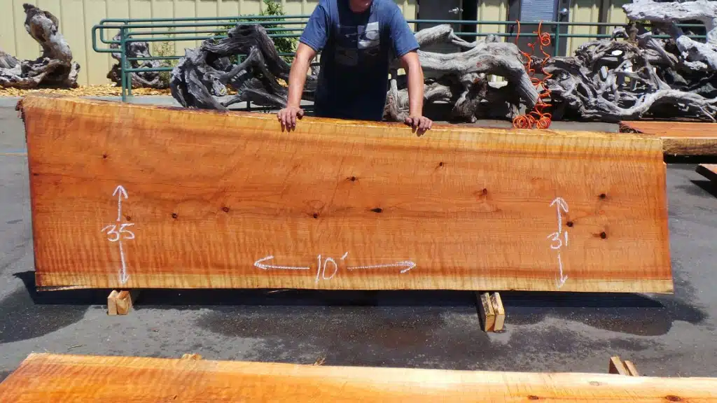 New Growth Natural Log Kitchen Counter or Bartop - Floating Wood Counters
