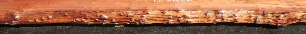 Example of a Live Edge wood slab