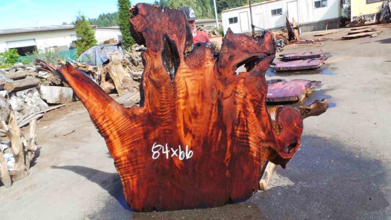 Types Of Burl Wood – Redwood Burl Inc.