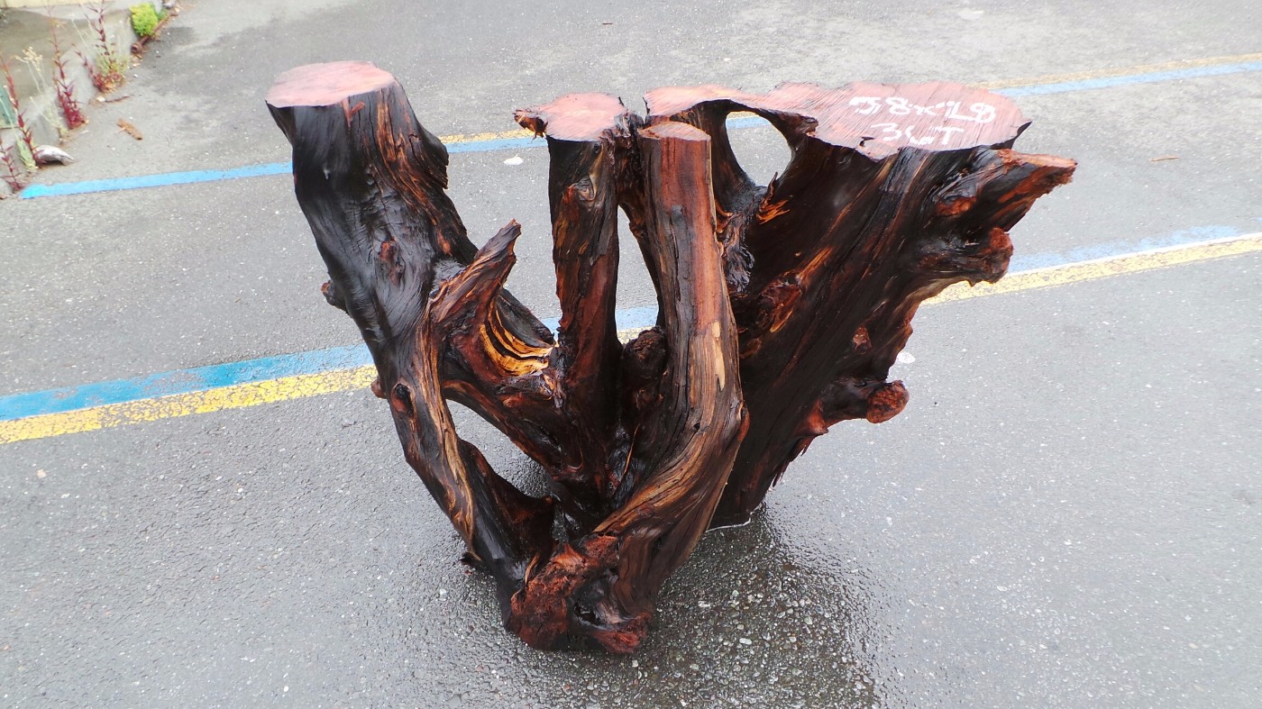 Redwood Burl Wood Branches Table Base