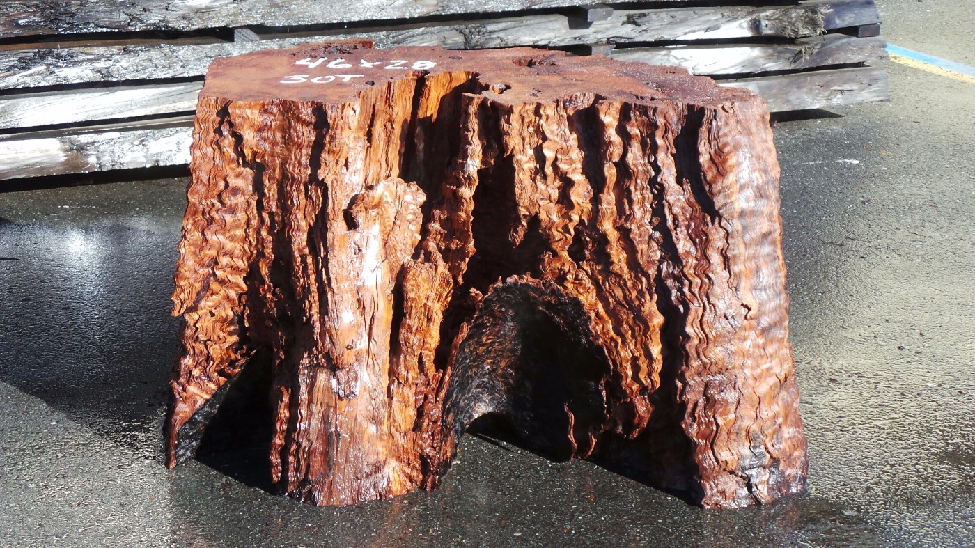 Redwood Base For Large Table - Curly Redwood Tree Stump