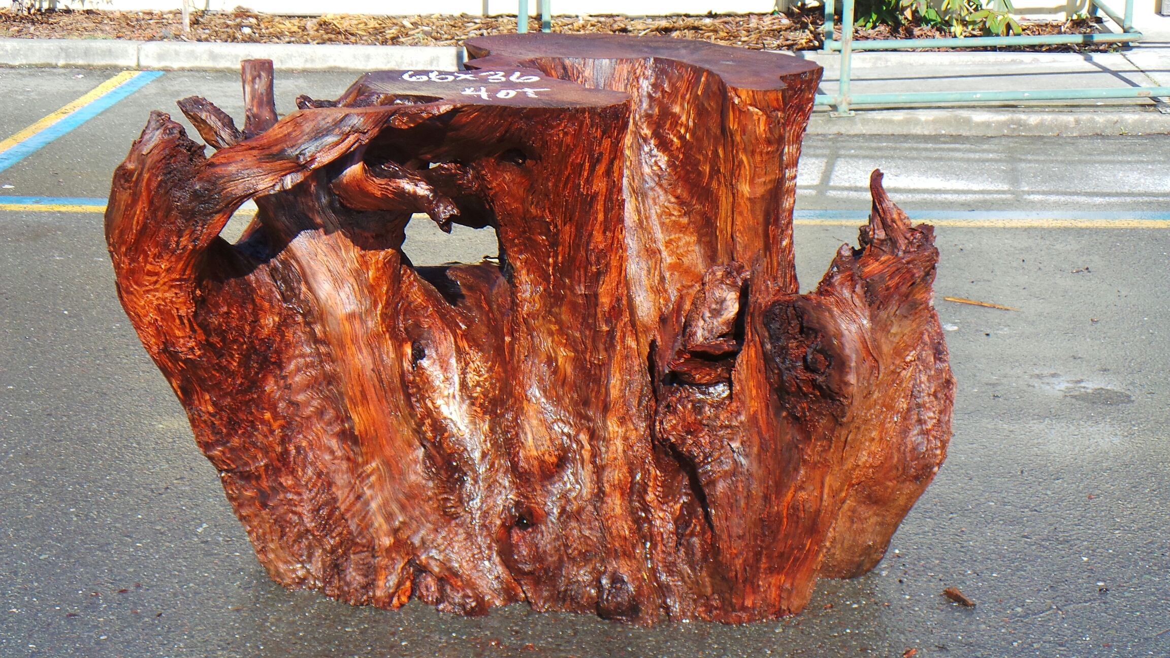 Tree Stump Table Base - Redwood Branch Table Base - Rustic Burl Wood