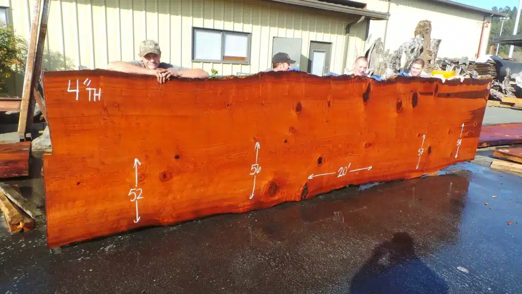 Old Growth Redwood Slab