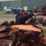 Milling Reclaimed Redwood Stumps