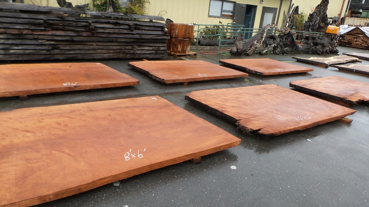 Old Growth Redwood Burl Blank Wood Slabs for Projects, Design and DIY