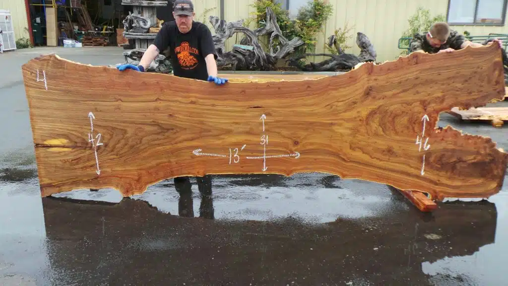 Rustic Live Edge Elm Slab from Log