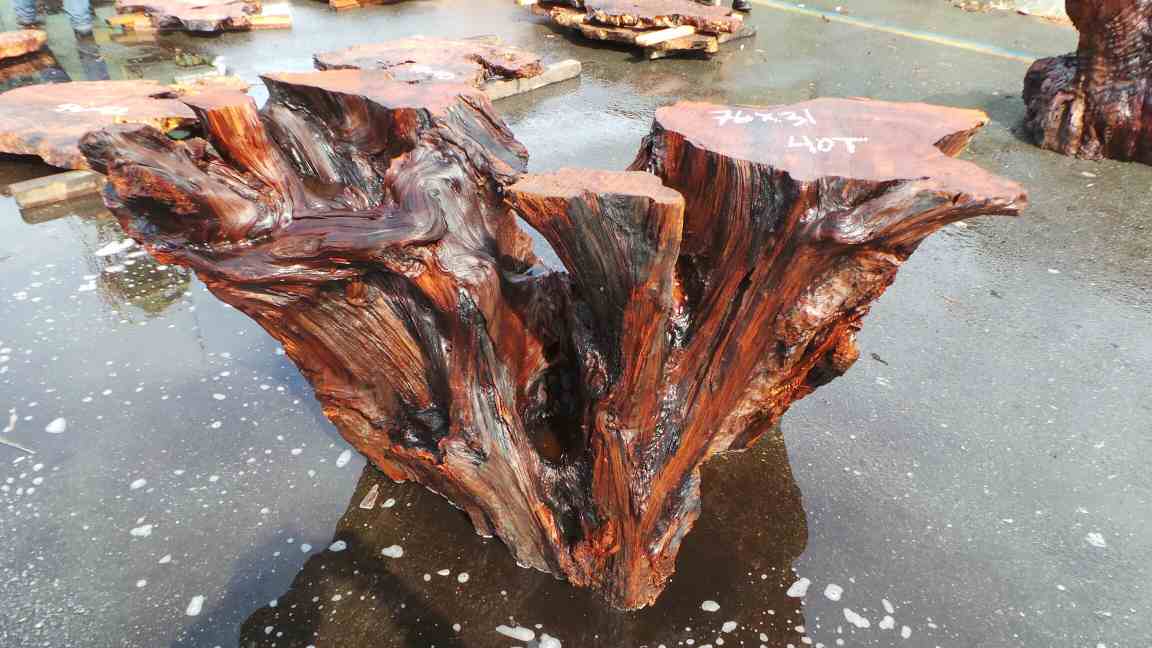 Tree Trunk Table Bases, Tree Branch Dining Table Base