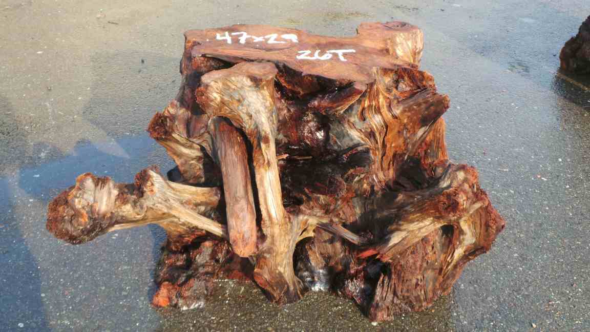 Redwood Root Base - Outdoor Tree Stump Landscaping Ideas