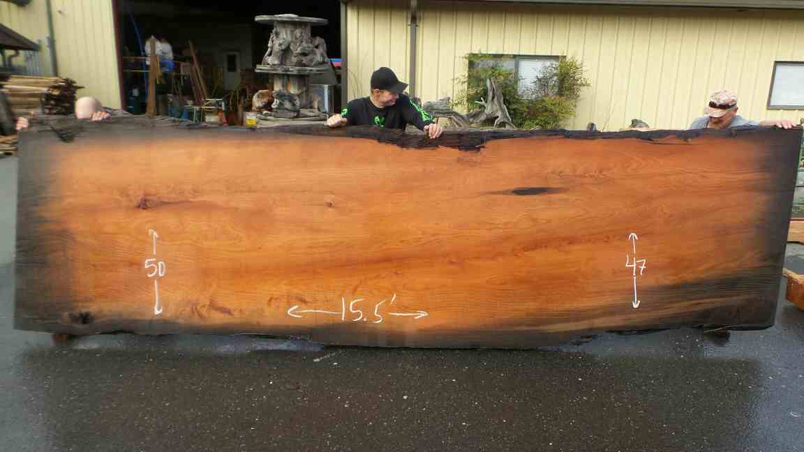 Mineral stained redwood burl slab for dining table