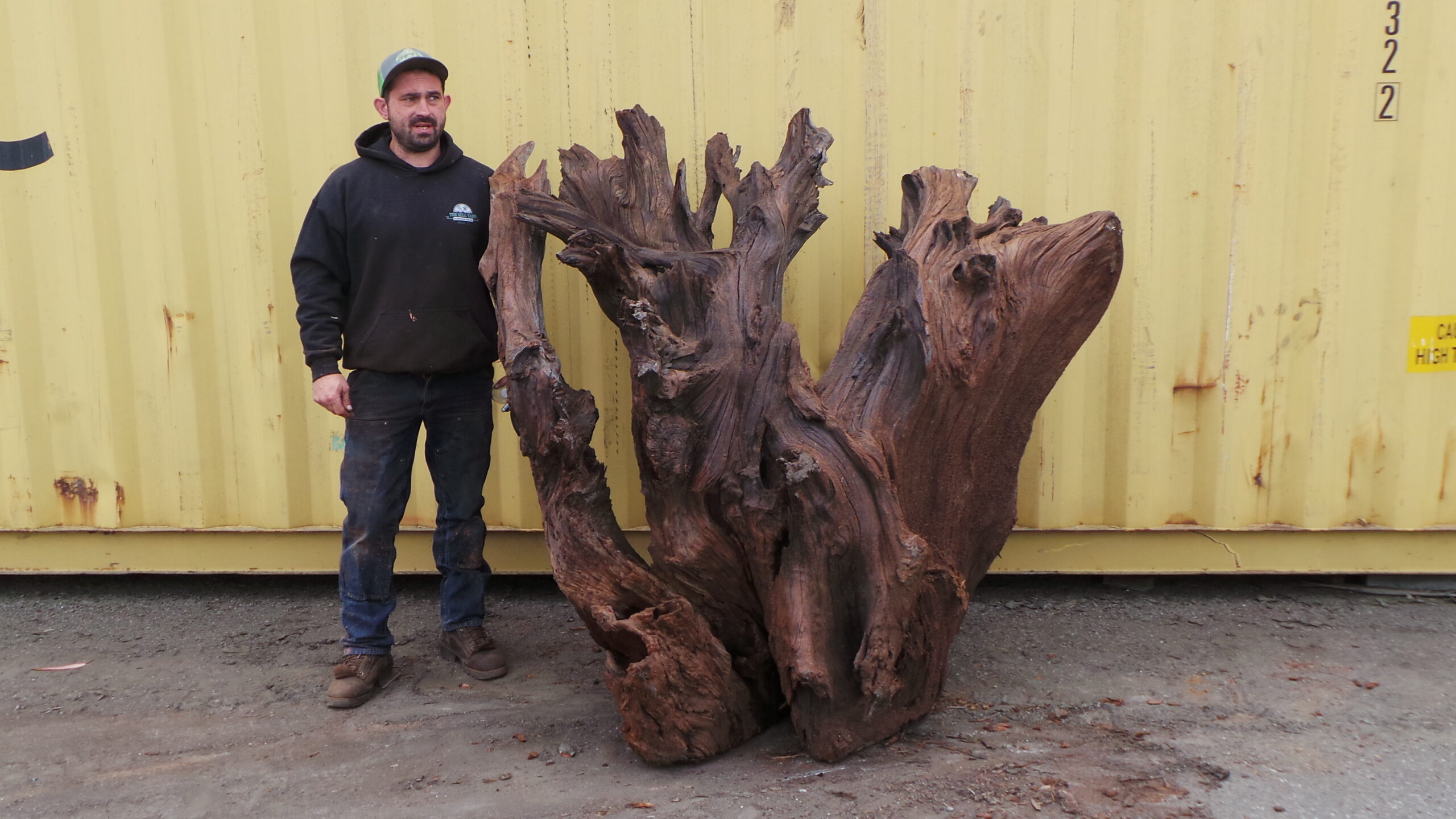 Redwood Burl Landscape Art