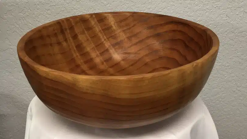 Sapwood Burl Bowl - Light & Dark Wood