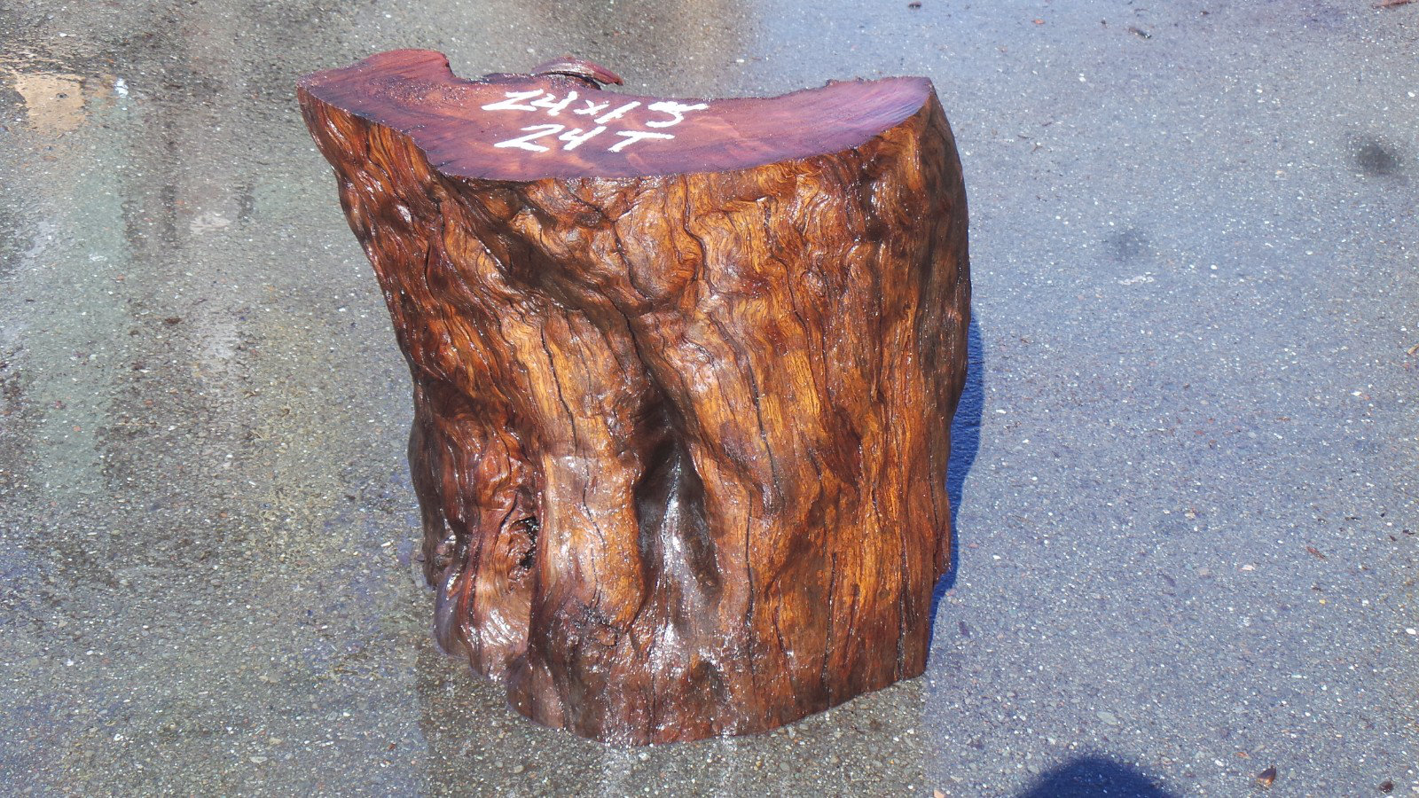 Dark Wood Stump Base - End Table Real Redwood Burl