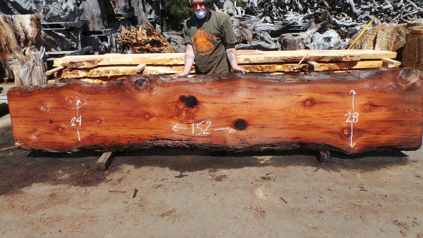 Burl wood slab for bohemian kitchen counters