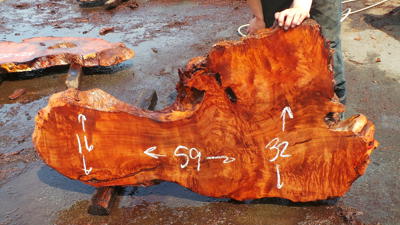 Redwood Burl Slabs | Unique Redwood Pieces | Redwood Burl Inc.