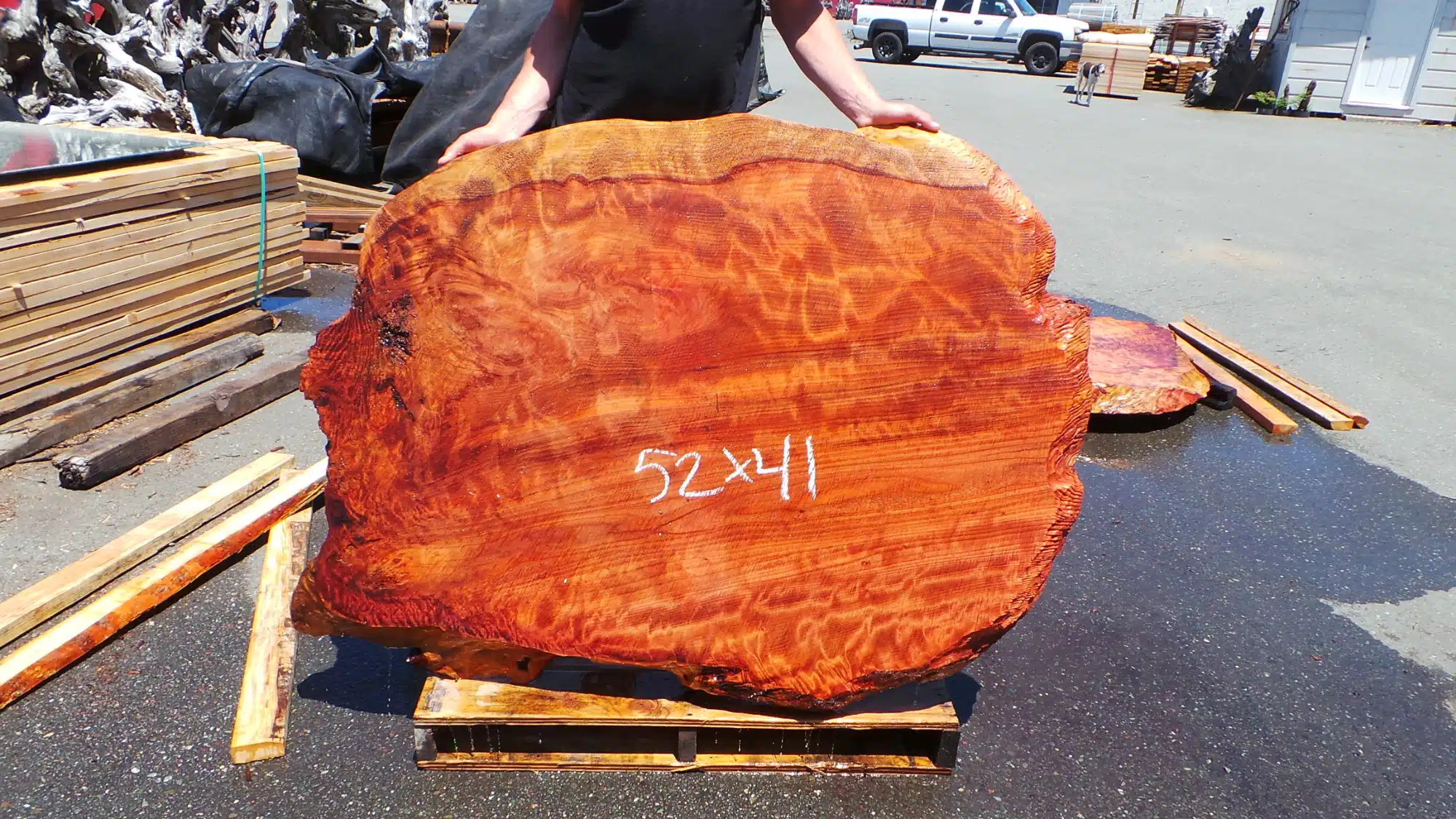 sapwood wavy grain slab