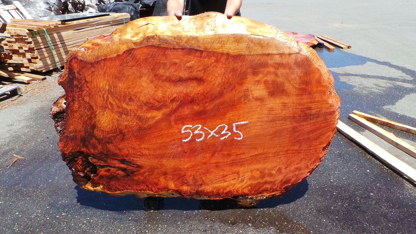 Redwood Burl Slabs for Sale Redwood Burl Slabs 3 Redwood Burl Inc.