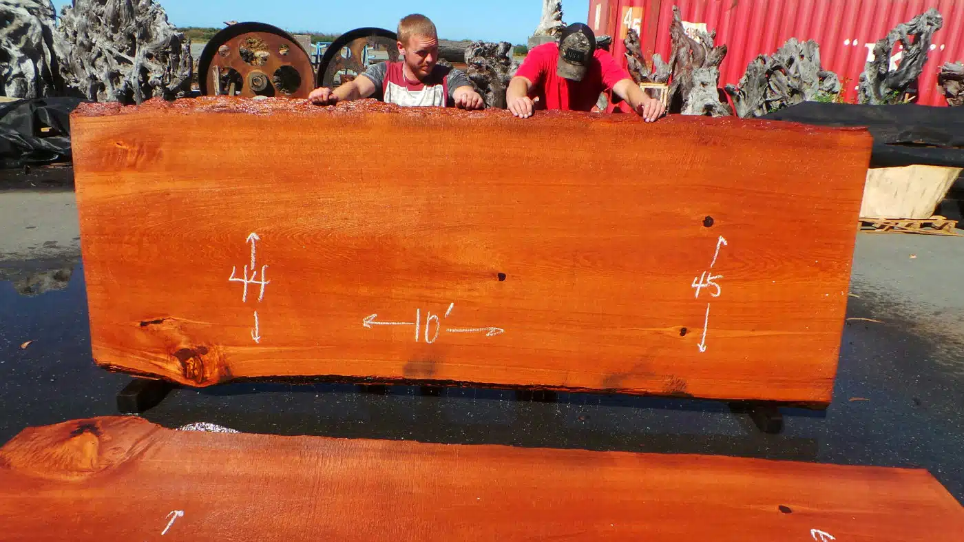 live edge restaurant table