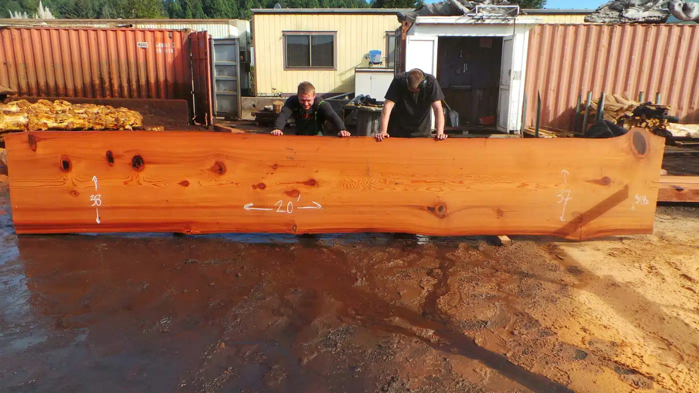 rustic kitchen live edge