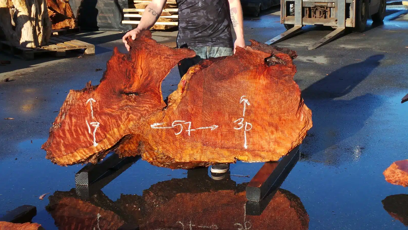 Burly Grain Redwood Burl Slab