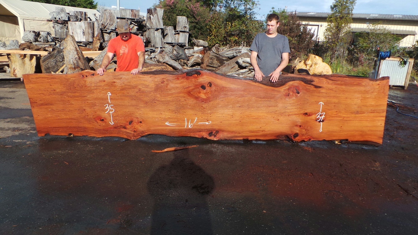 Floating Redwood Bar Top