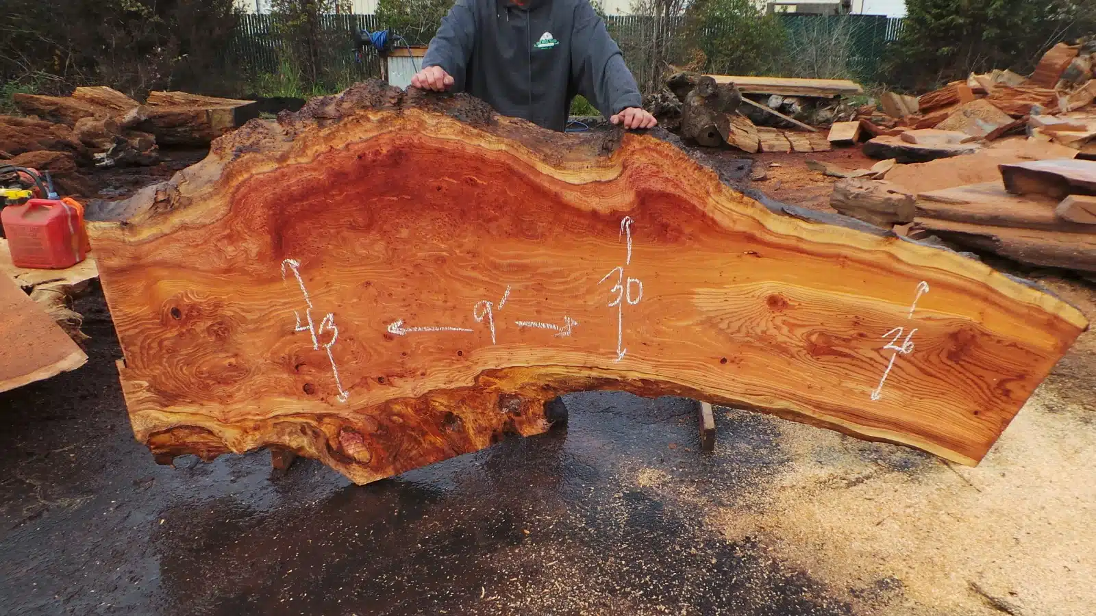 Rustic Live Edge Table - Burl Wood Table