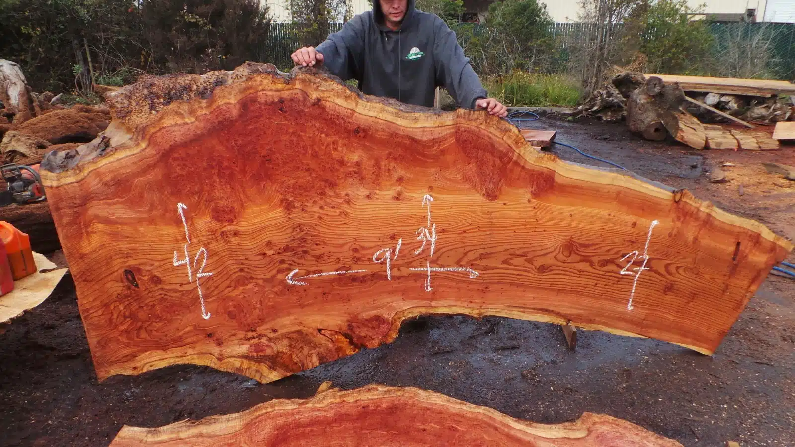 Burl Wood Desk - Redwood Burl Slab for Personal Desk