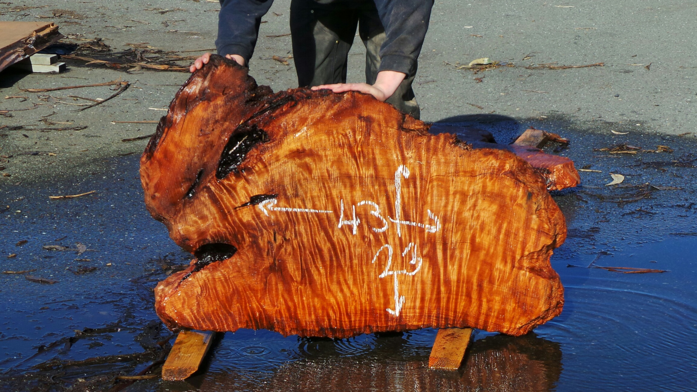 Small Redwood Coffee Table Slab Redwood Burl Inc