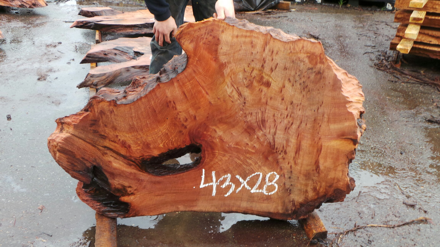 Redwood Burl Slabs Unique Redwood Pieces Redwood Burl Inc.