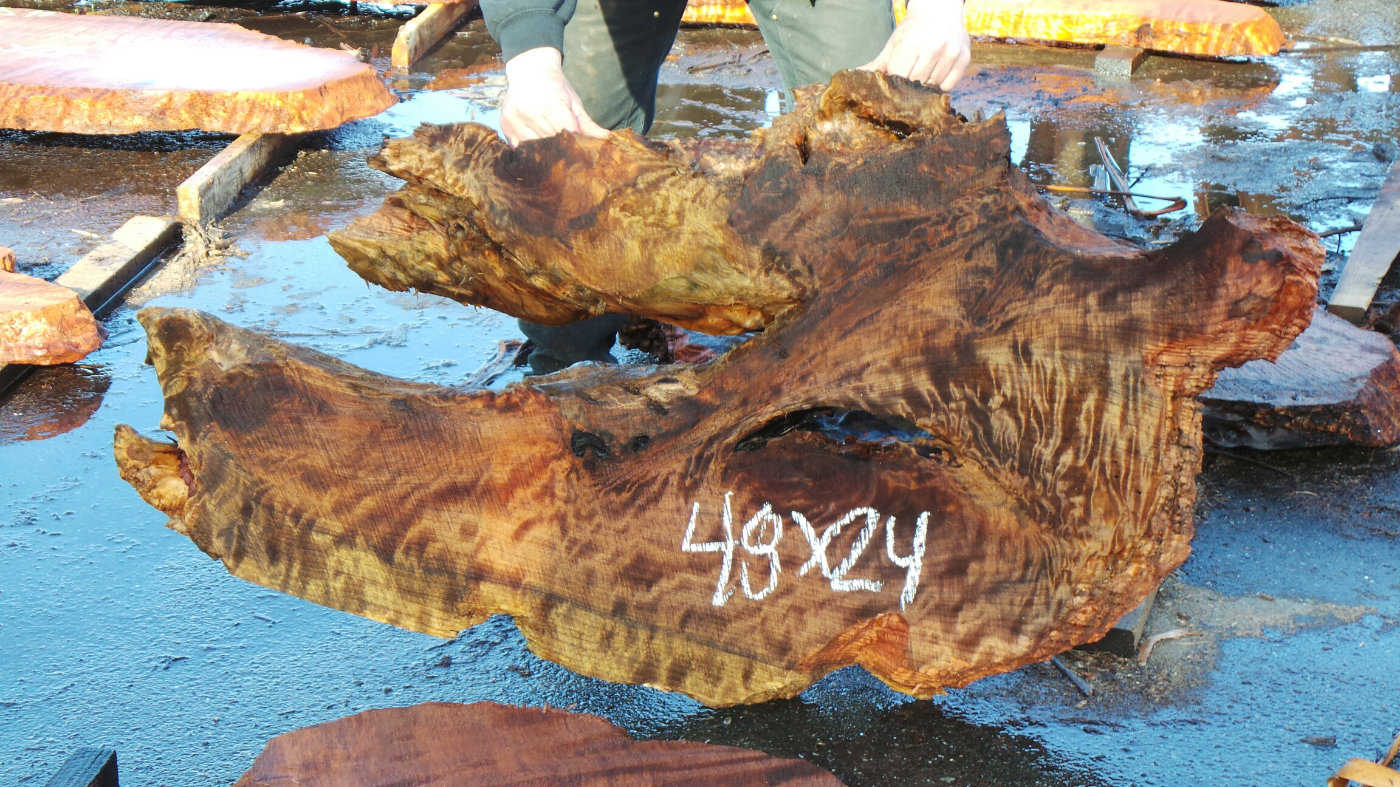 Rough and Raw Redwood Slab SL201 Redwood Burl Inc.