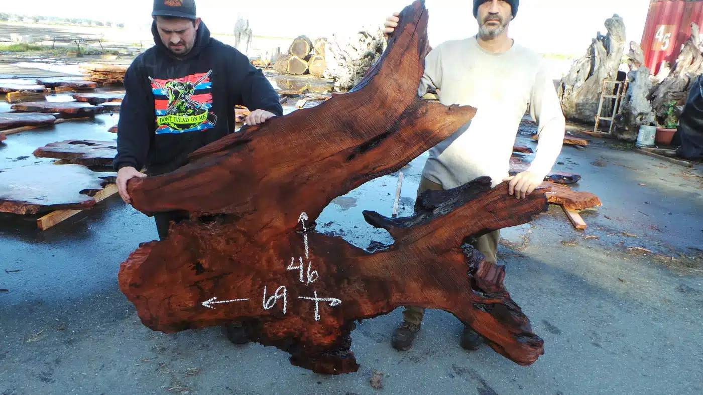 Raw Wood Wall Art - Redwood Burl Driftwood Artpiece