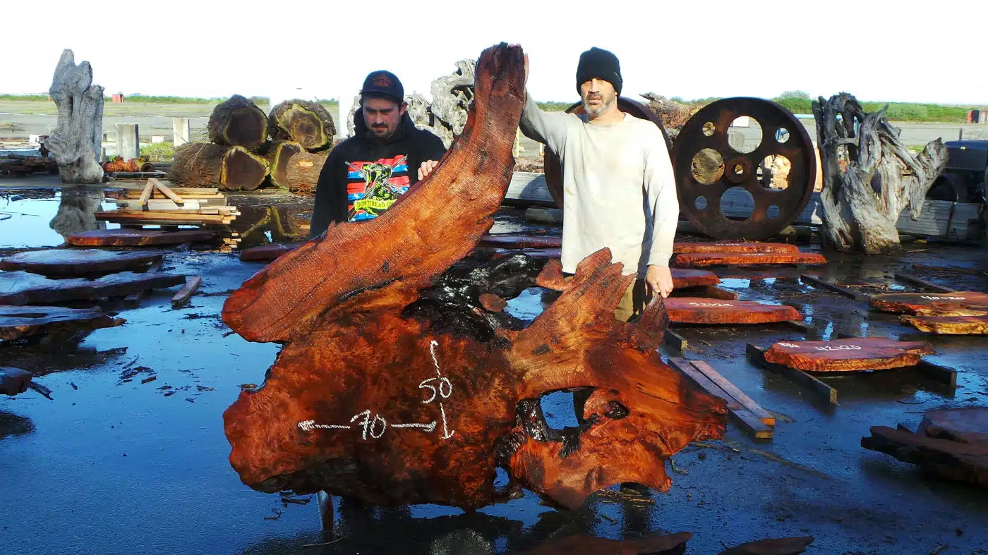 Burl Headboard