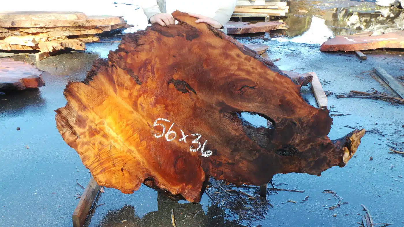 growth rings slab