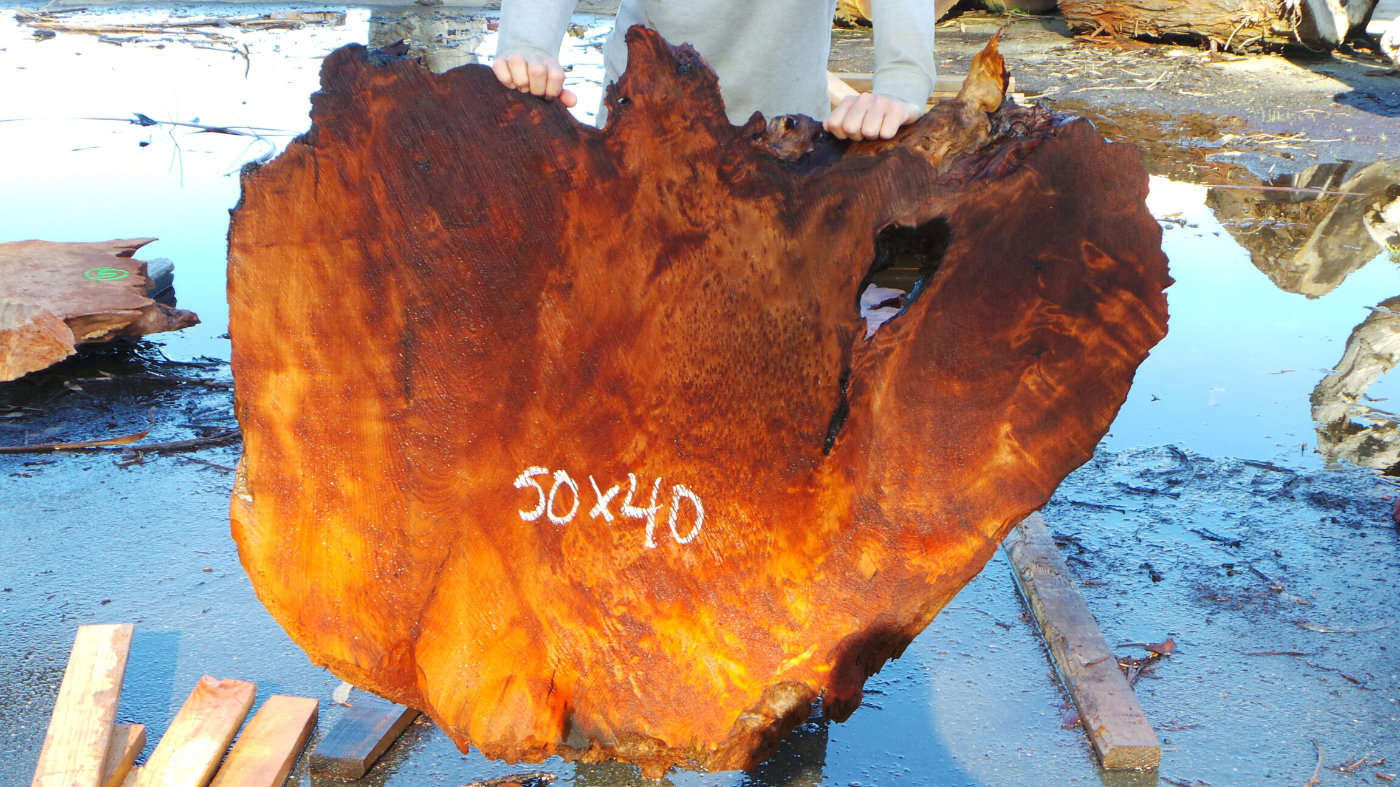Redwood Root Slab ~ Raw Wood Edge Table