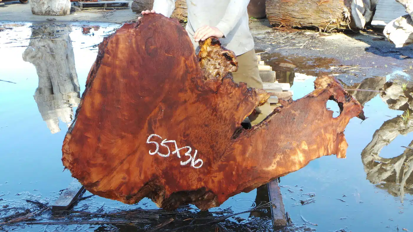 Live Edge Redwood Burl