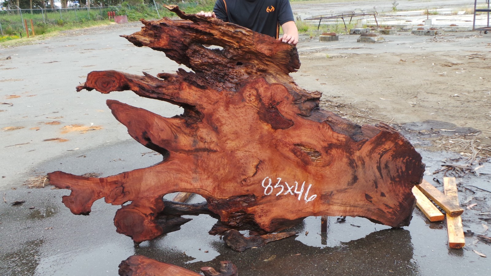 birds-eye redwood burl slab