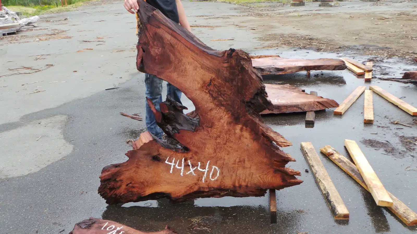 Burl wood slab for sale