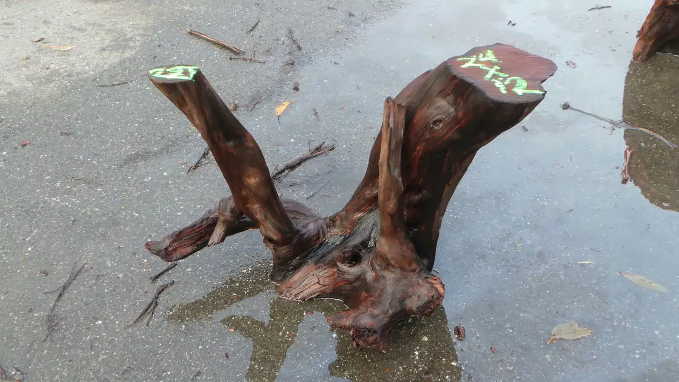 Redwood table base