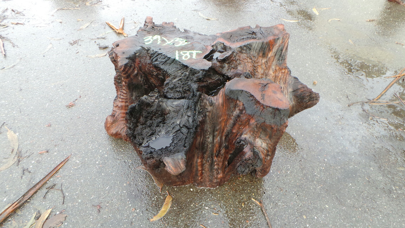 redwood stump end table base