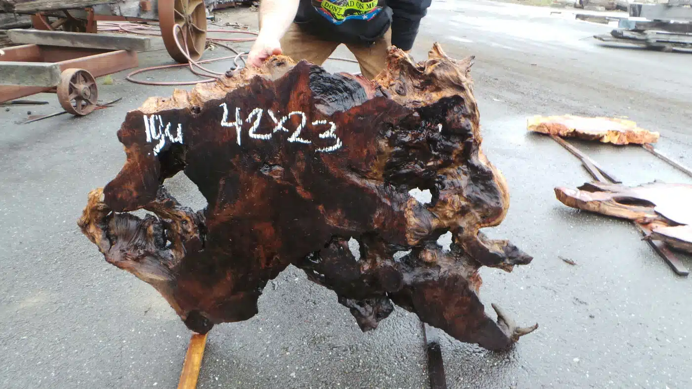 Old growth redwood slab with voids
