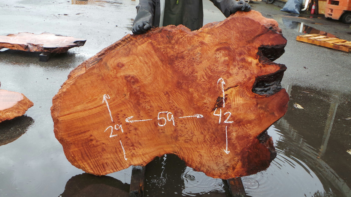 Burl Wood Table Slab